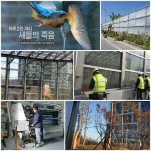 Read more about the article 정부의 노력