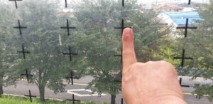 Read more about the article 관련 언론 기사