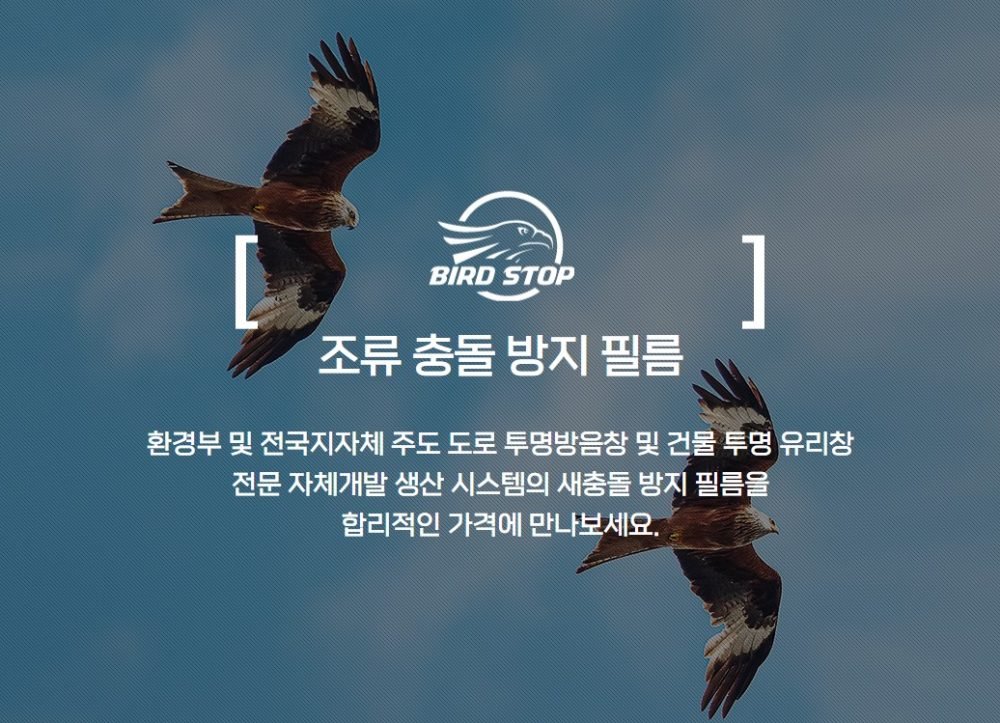 birdstop.jpg